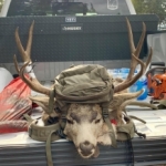 Profile picture of JD